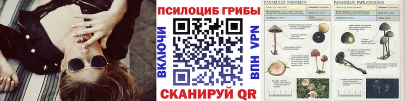 где купить   кракен ТОР  Галлюциногенные грибы Psilocybine cubensis  Динская 