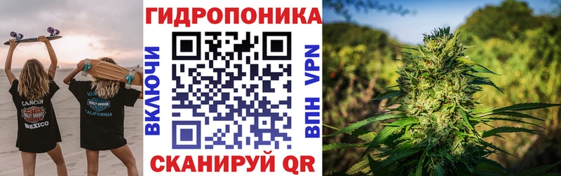 Бошки марихуана семена  Динская 